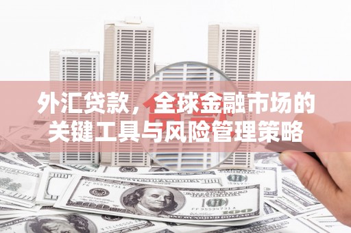 威海外汇贷款，全球金融市场的关键工具与风险管理策略