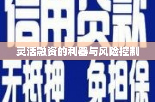 威海灵活融资的利器与风险控制
