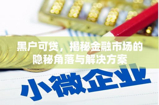 威海黑户可贷，揭秘金融市场的隐秘角落与解决方案
