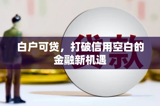 威海白户可贷，打破信用空白的金融新机遇