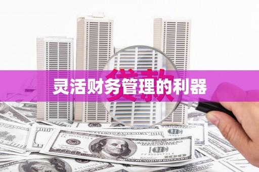 威海灵活财务管理的利器