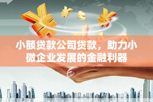 威海小额贷款公司贷款，助力小微企业发展的金融利器