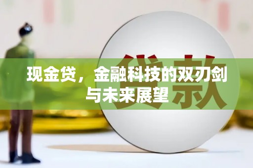威海现金贷，金融科技的双刃剑与未来展望