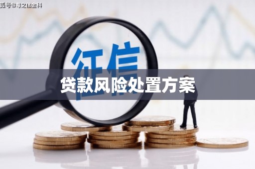 威海贷款风险处置方案