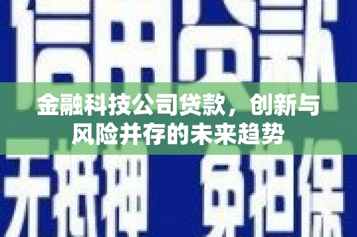 威海金融科技公司贷款，创新与风险并存的未来趋势