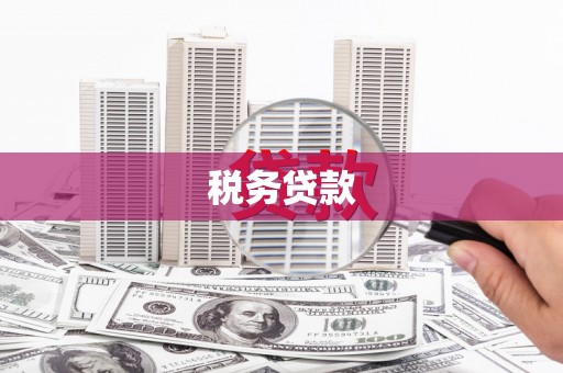 威海税务贷款