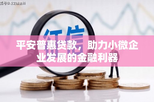 威海平安普惠贷款，助力小微企业发展的金融利器