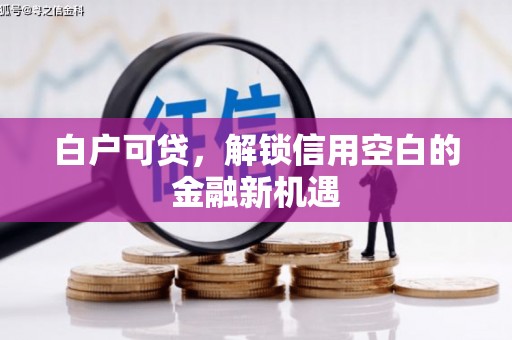 威海白户可贷，解锁信用空白的金融新机遇