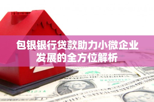 威海包银银行贷款助力小微企业发展的全方位解析