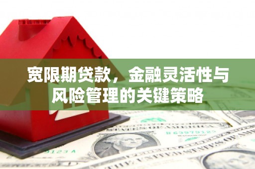 威海宽限期贷款，金融灵活性与风险管理的关键策略