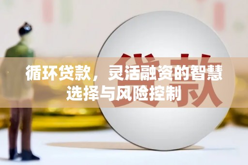 威海循环贷款，灵活融资的智慧选择与风险控制