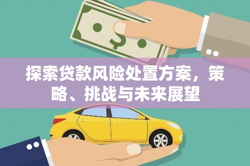 威海探索贷款风险处置方案，策略、挑战与未来展望