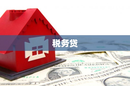 威海税务贷
