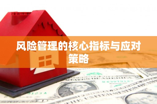 威海风险管理的核心指标与应对策略