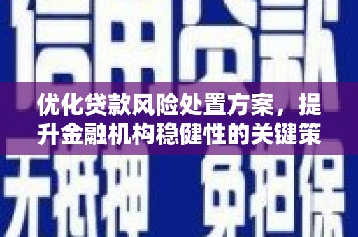 威海优化贷款风险处置方案，提升金融机构稳健性的关键策略