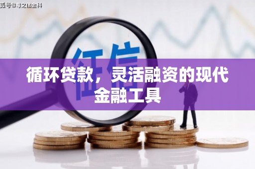 威海循环贷款，灵活融资的现代金融工具