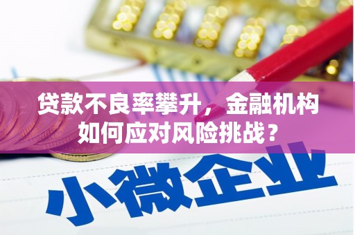 威海贷款不良率攀升，金融机构如何应对风险挑战？
