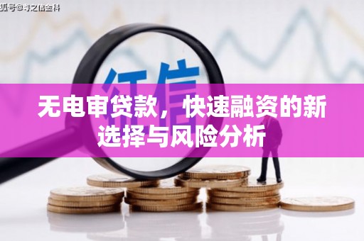 威海无电审贷款，快速融资的新选择与风险分析