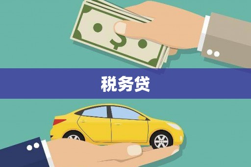 威海税务贷