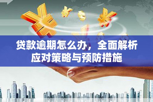 威海贷款逾期怎么办，全面解析应对策略与预防措施