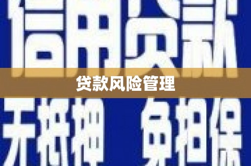 威海贷款风险管理