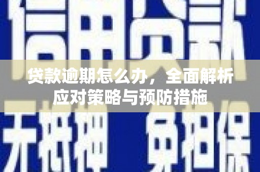 威海贷款逾期怎么办，全面解析应对策略与预防措施