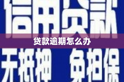 威海贷款逾期怎么办
