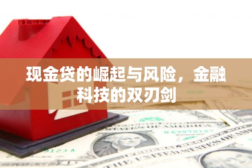 威海现金贷的崛起与风险，金融科技的双刃剑