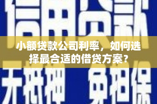 威海小额贷款公司利率，如何选择最合适的借贷方案？