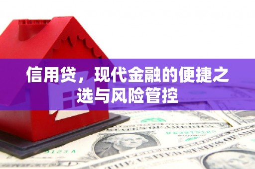 威海信用贷，现代金融的便捷之选与风险管控