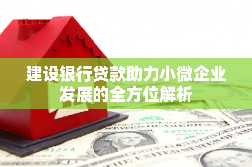 威海建设银行贷款助力小微企业发展的全方位解析