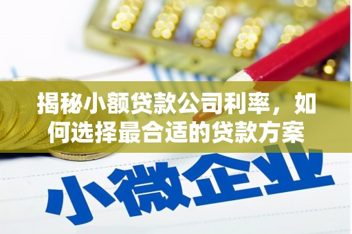 威海揭秘小额贷款公司利率，如何选择最合适的贷款方案
