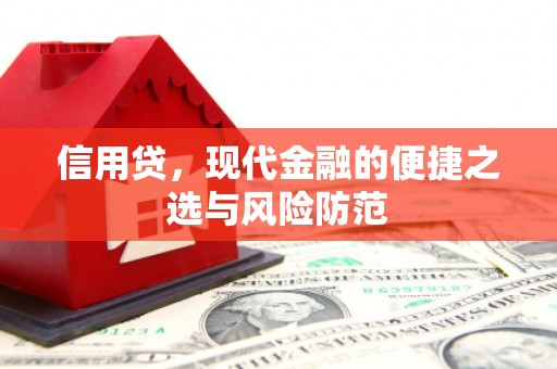 威海信用贷，现代金融的便捷之选与风险防范