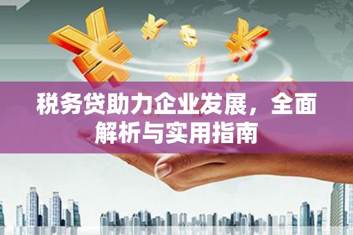 威海税务贷助力企业发展，全面解析与实用指南