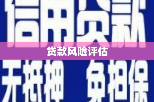 威海贷款风险评估