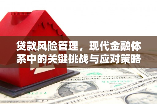 威海贷款风险管理，现代金融体系中的关键挑战与应对策略