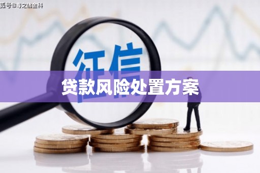 威海贷款风险处置方案