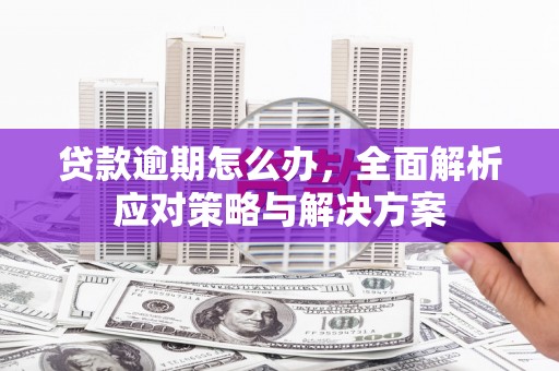 威海贷款逾期怎么办，全面解析应对策略与解决方案