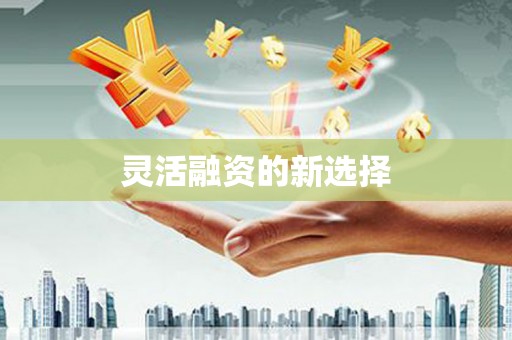 威海灵活融资的新选择