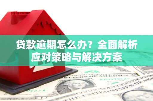 威海贷款逾期怎么办？全面解析应对策略与解决方案