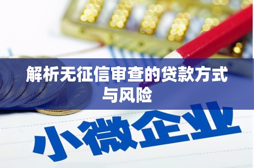 威海解析无征信审查的贷款方式与风险