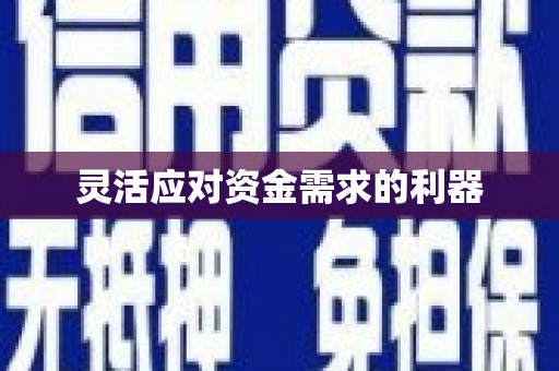 威海灵活应对资金需求的利器