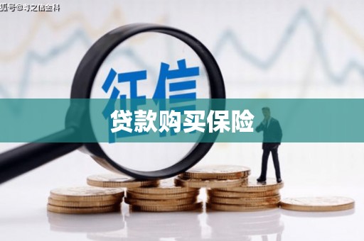 威海贷款购买保险