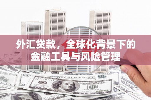 威海外汇贷款，全球化背景下的金融工具与风险管理