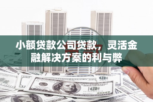 威海小额贷款公司贷款，灵活金融解决方案的利与弊