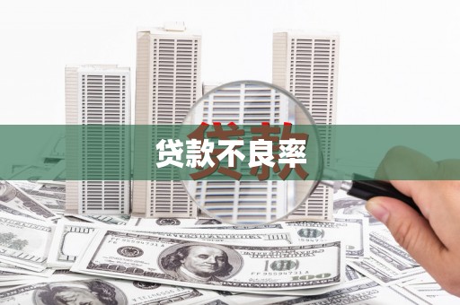 威海贷款不良率